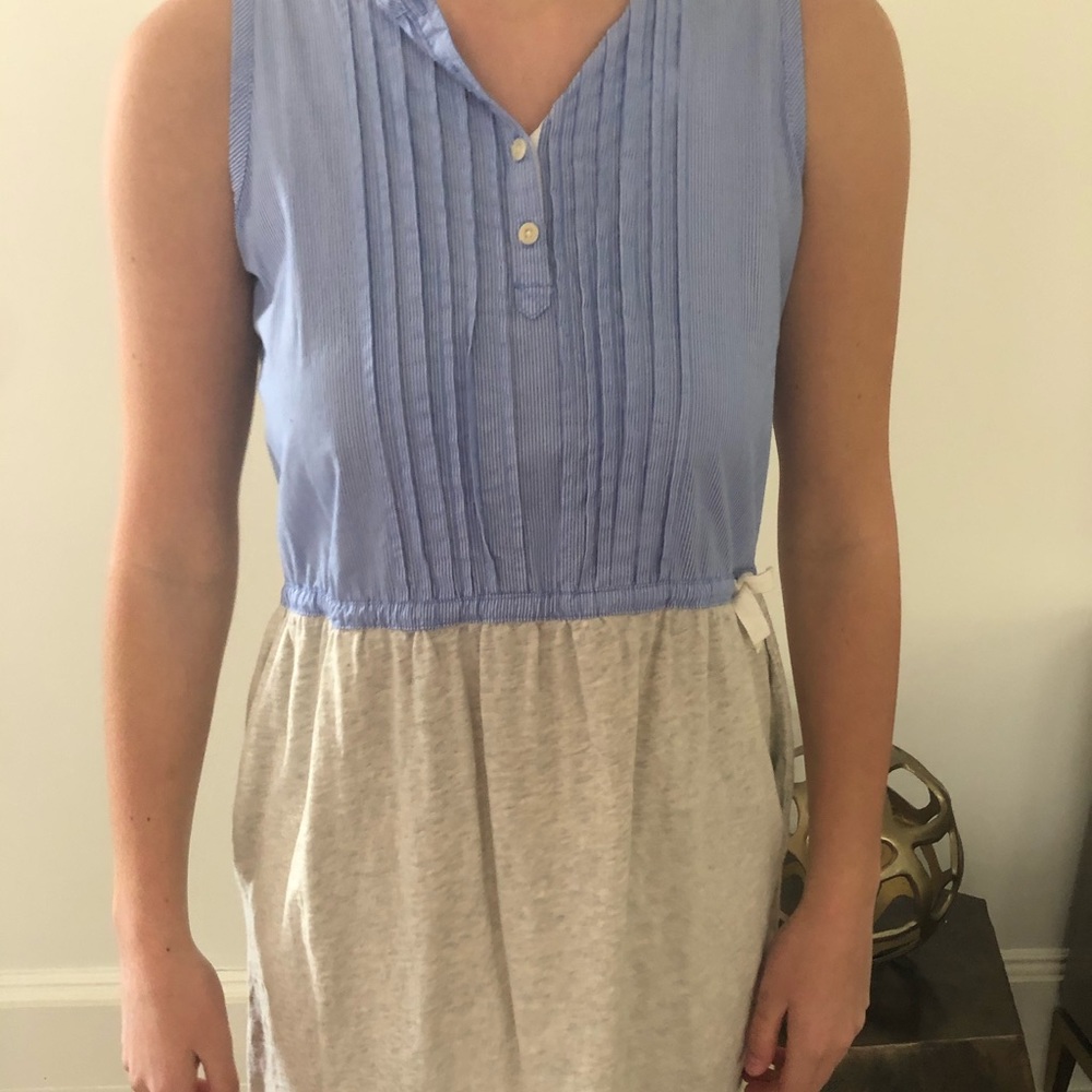 JCrew Crecuts Dress
